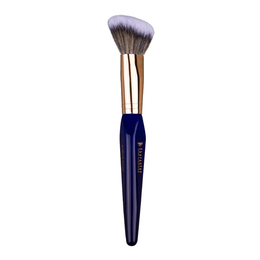 Character 15 Pieces Brush Set - CHX002