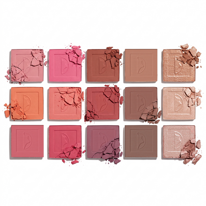 Character Color Theory Face Palette