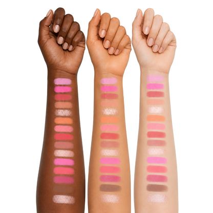Character Color Theory Face Palette