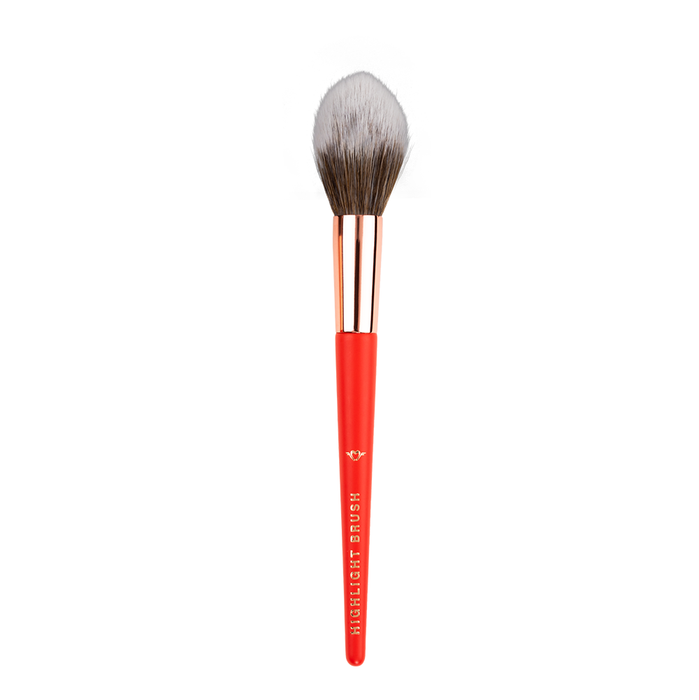 Makeup Basic Beige 12 Pieces Brush Set - XZ010