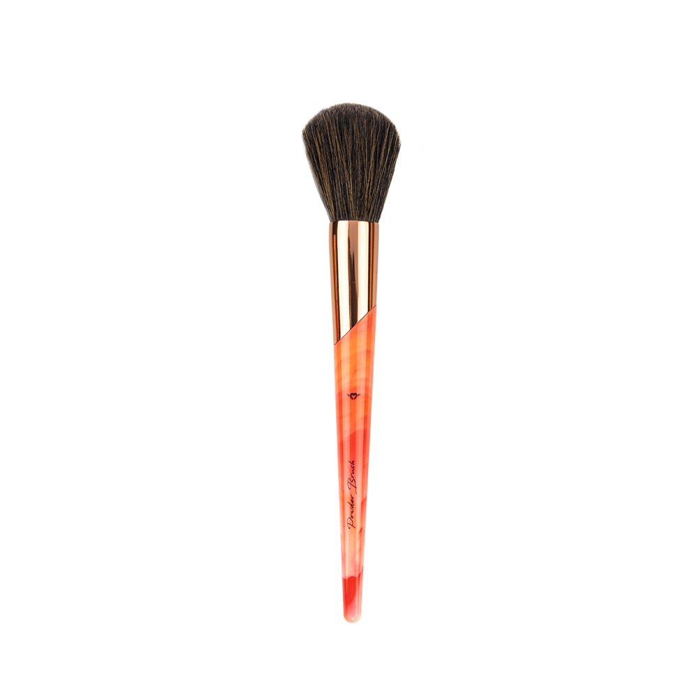 Professional Artist Coral 11 Pieces Brush Set - XZ011