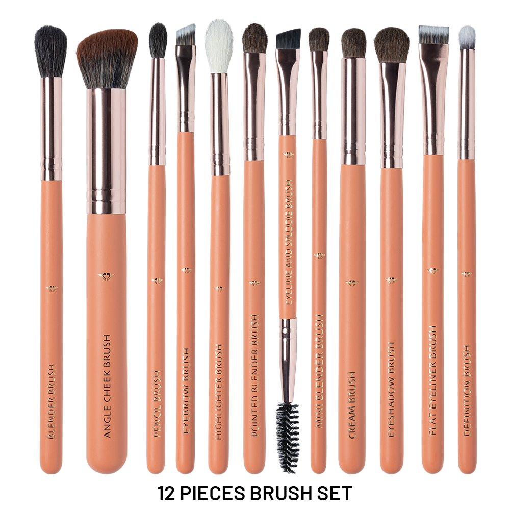 12 Pieces Brush Set - XZ013