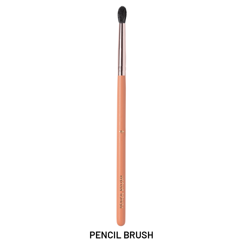 12 Pieces Brush Set - XZ013