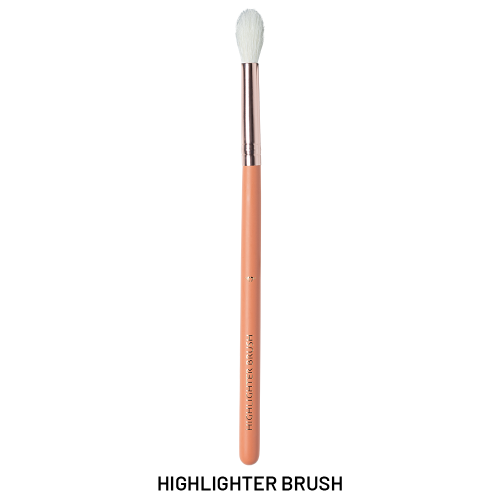 12 Pieces Brush Set - XZ013